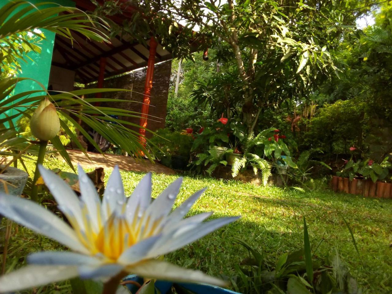 Nethmi Homestay & Restaurant Tangalle Exterior foto